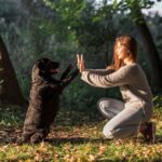 Cafeterías para gatos: una tendencia perfecta en los viajes y la socialización que admiten mascotas