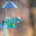 Los accesorios y los elementos más ecológicos y sostenibles para tu acuario