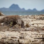 Los reptiles más venenosos y peligrosos del planeta: ¿te atreves a conocerlos?