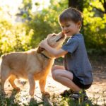 Cómo cuidar la salud de tu mascota: prevención y tratamiento de las enfermedades más frecuentes