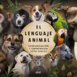 Mascotas y Educación: Programas de Lectura con Animales