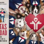 Salud Animal en la Vejez: Cuidados para Mascotas Mayores