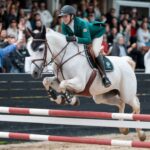 Raza: el caballo frisón: elegancia y fuerza