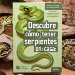 Descubre los mitos y realidades de tener conejos como mascotas