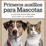 Cuidar a tu compañero senior: los perros y el envejecimiento