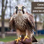 La fascinante migración de aves: un fenómeno natural de asombrosa precisión