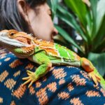 Conejos en el jardín: seguridad y bienestar