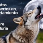 El lenguaje corporal de los perros: entender lo que tu perro te dice