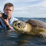 Crea un oasis acuático: consejos y trucos para montar un acuario comunitario